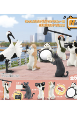 Social Media Cat Blind Box