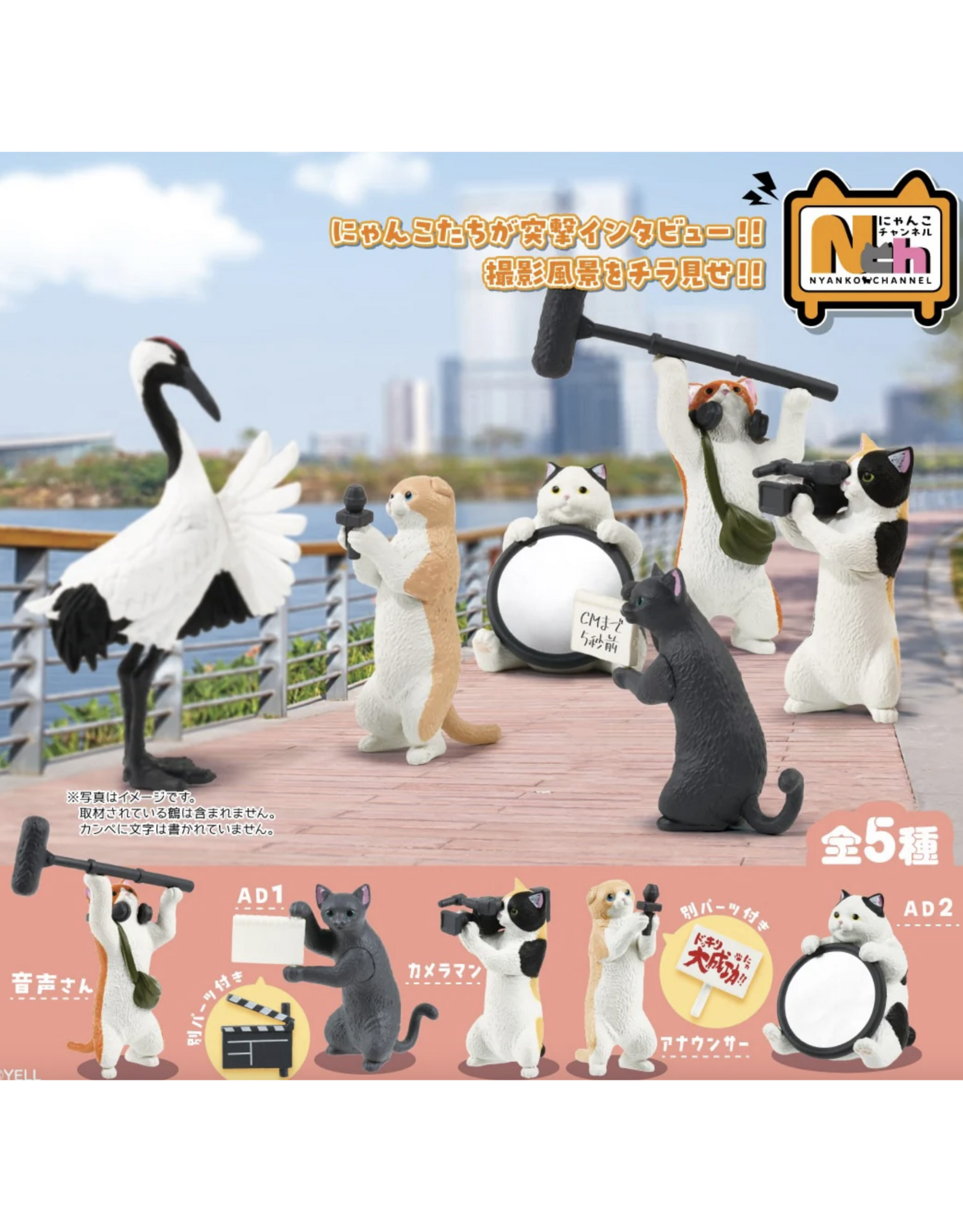 Social Media Cat Blind Box