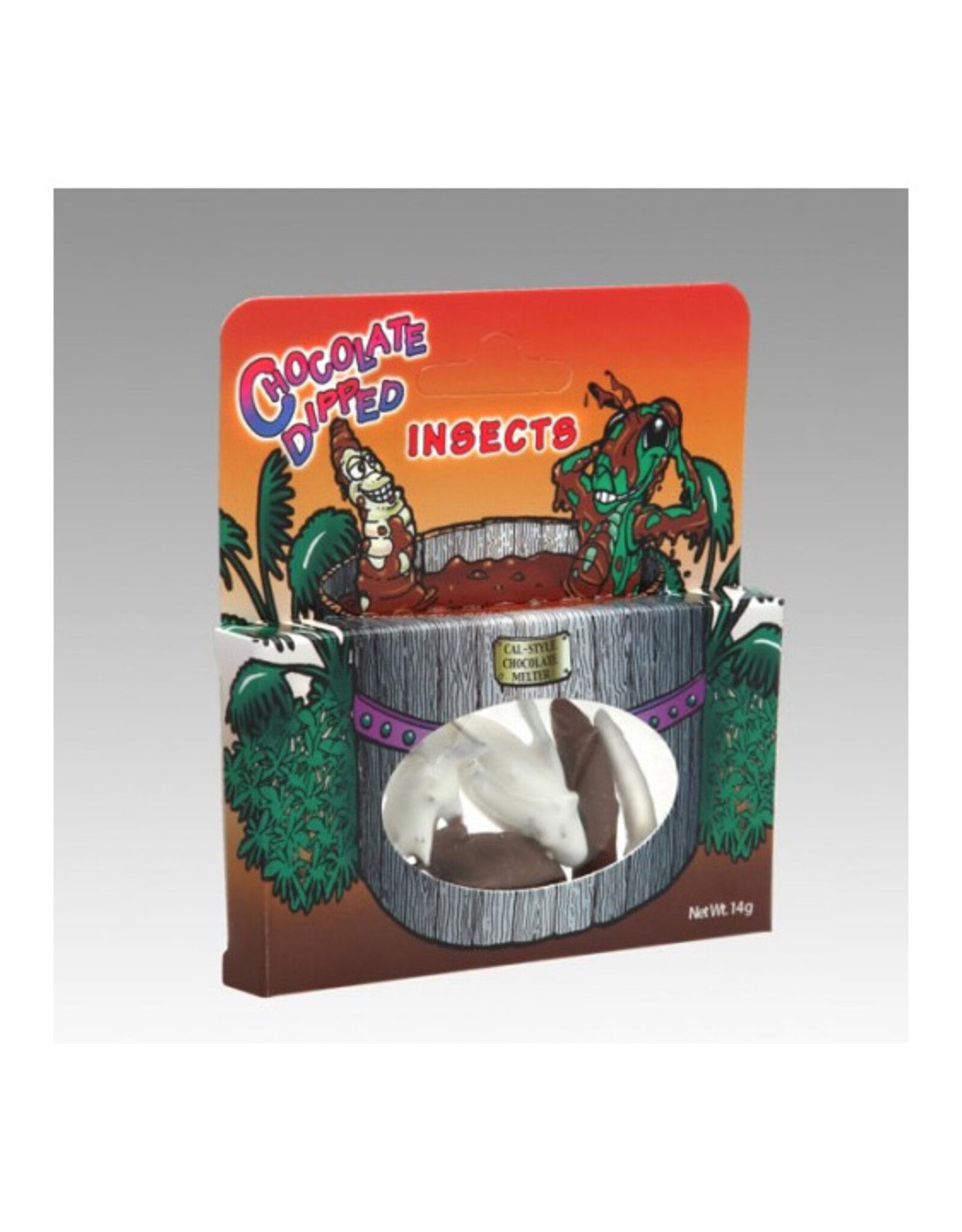 Chocolate Dipped Insects