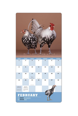 Extraordinary Chickens Wall Calendar 2026