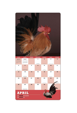 Extraordinary Chickens Wall Calendar 2026