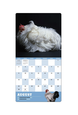 Extraordinary Chickens Wall Calendar 2026