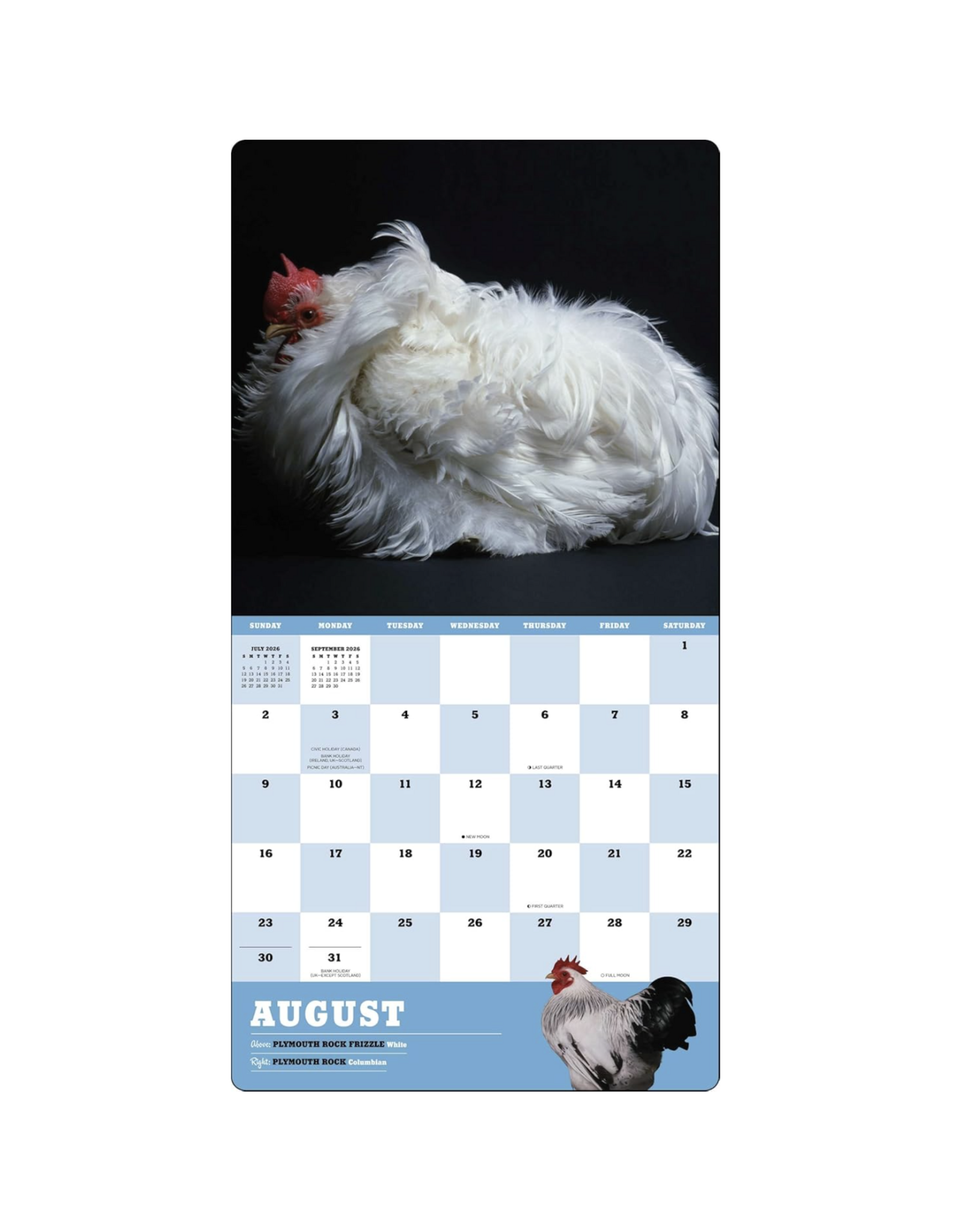 Extraordinary Chickens Wall Calendar 2026