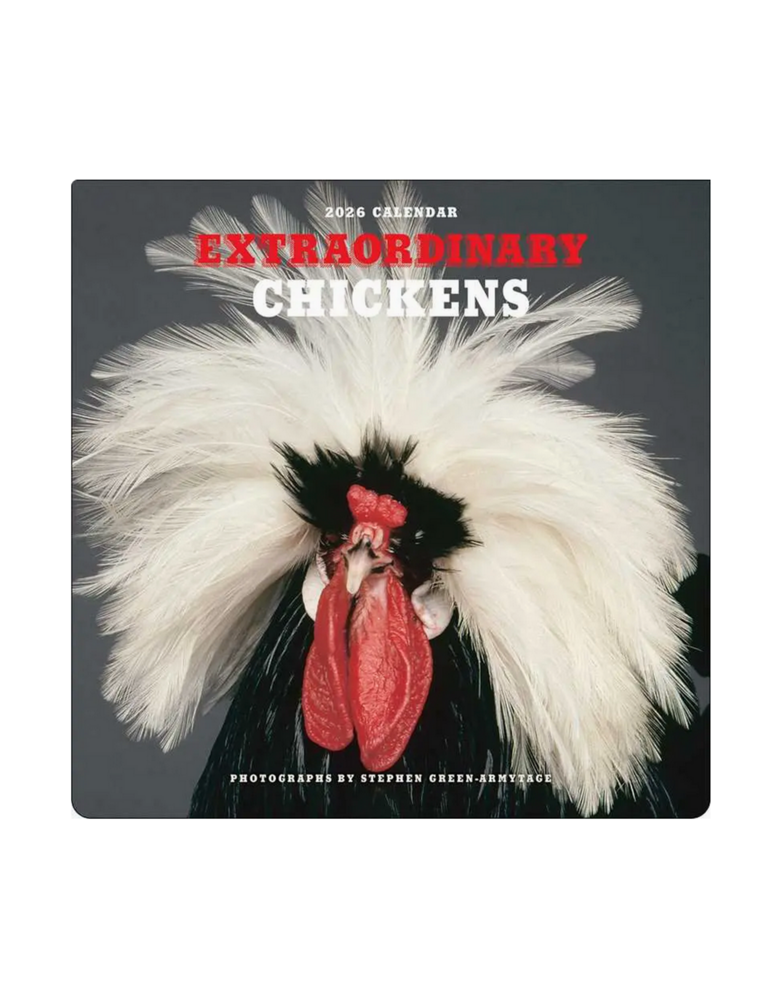 Extraordinary Chickens Wall Calendar 2026