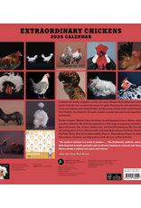 Extraordinary Chickens Wall Calendar 2026
