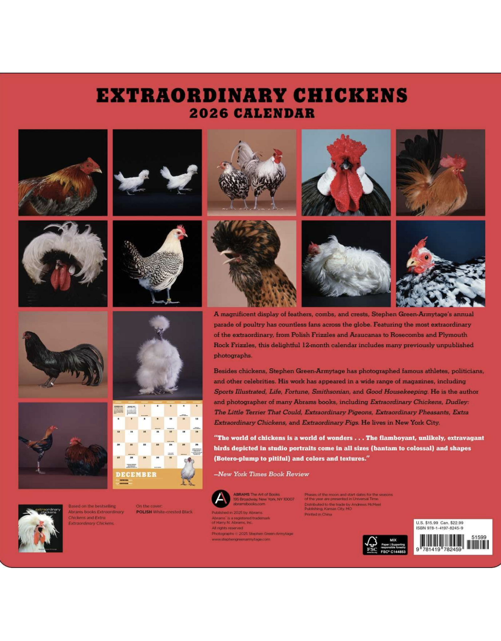 Extraordinary Chickens Wall Calendar 2026