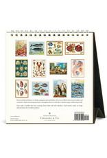 2026 Desk Calendar: Sea Life