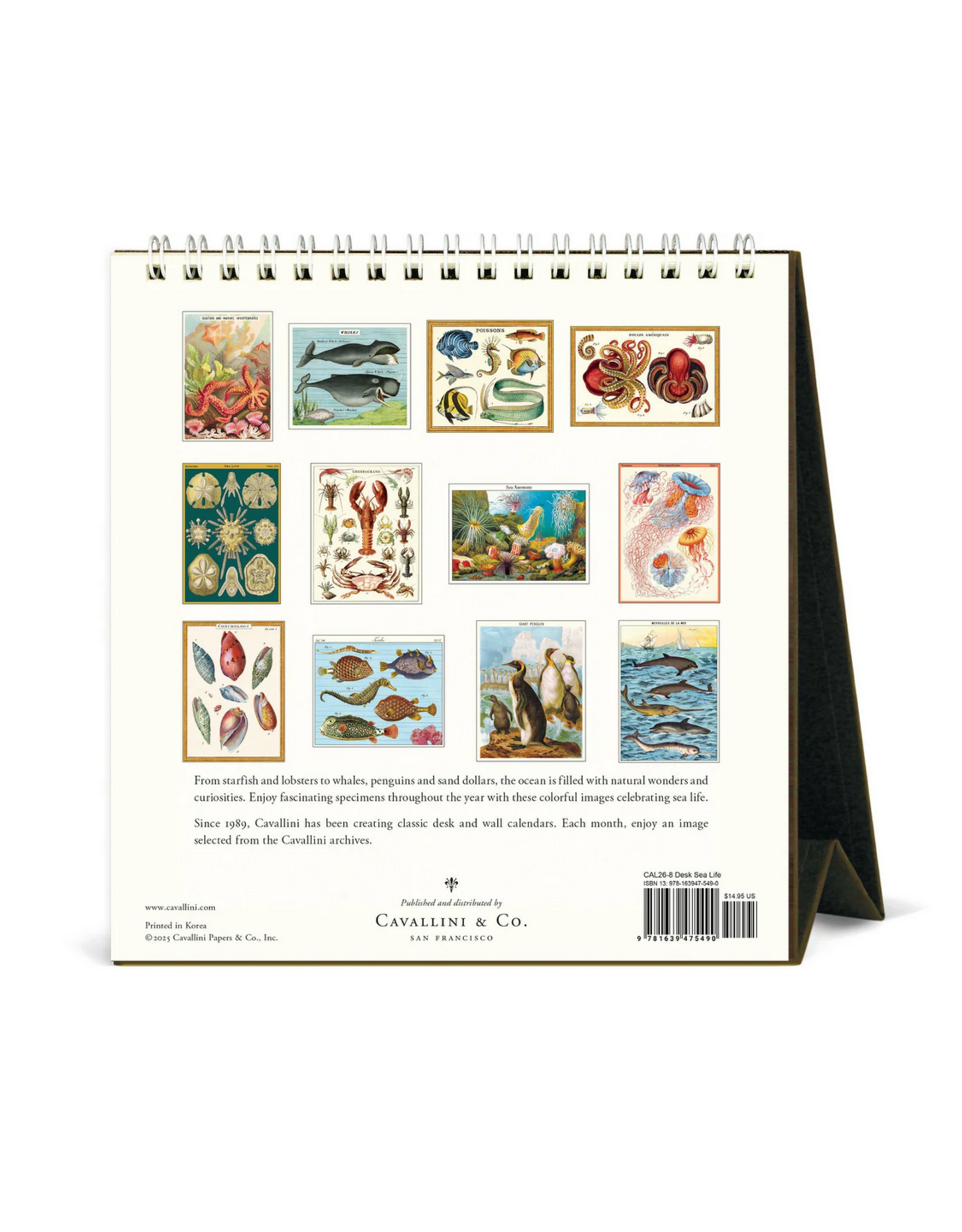 2026 Desk Calendar: Sea Life