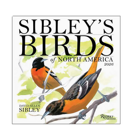 Sibley's Birds of North America Wall Calendar 2026
