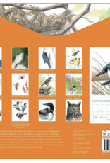 Sibley's Birds of North America Wall Calendar 2026
