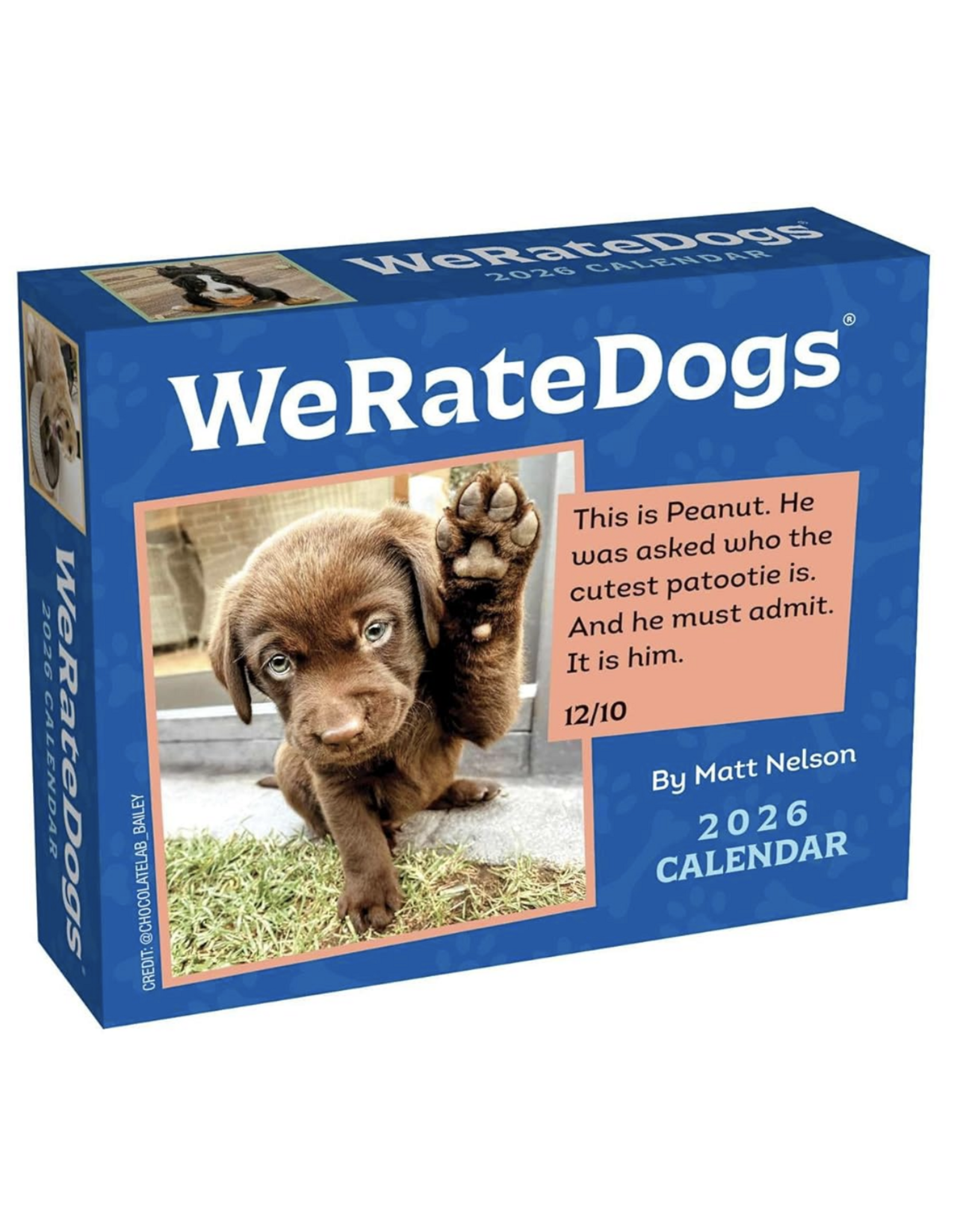 We Rate Dogs Day-To-Day Calendar 2026