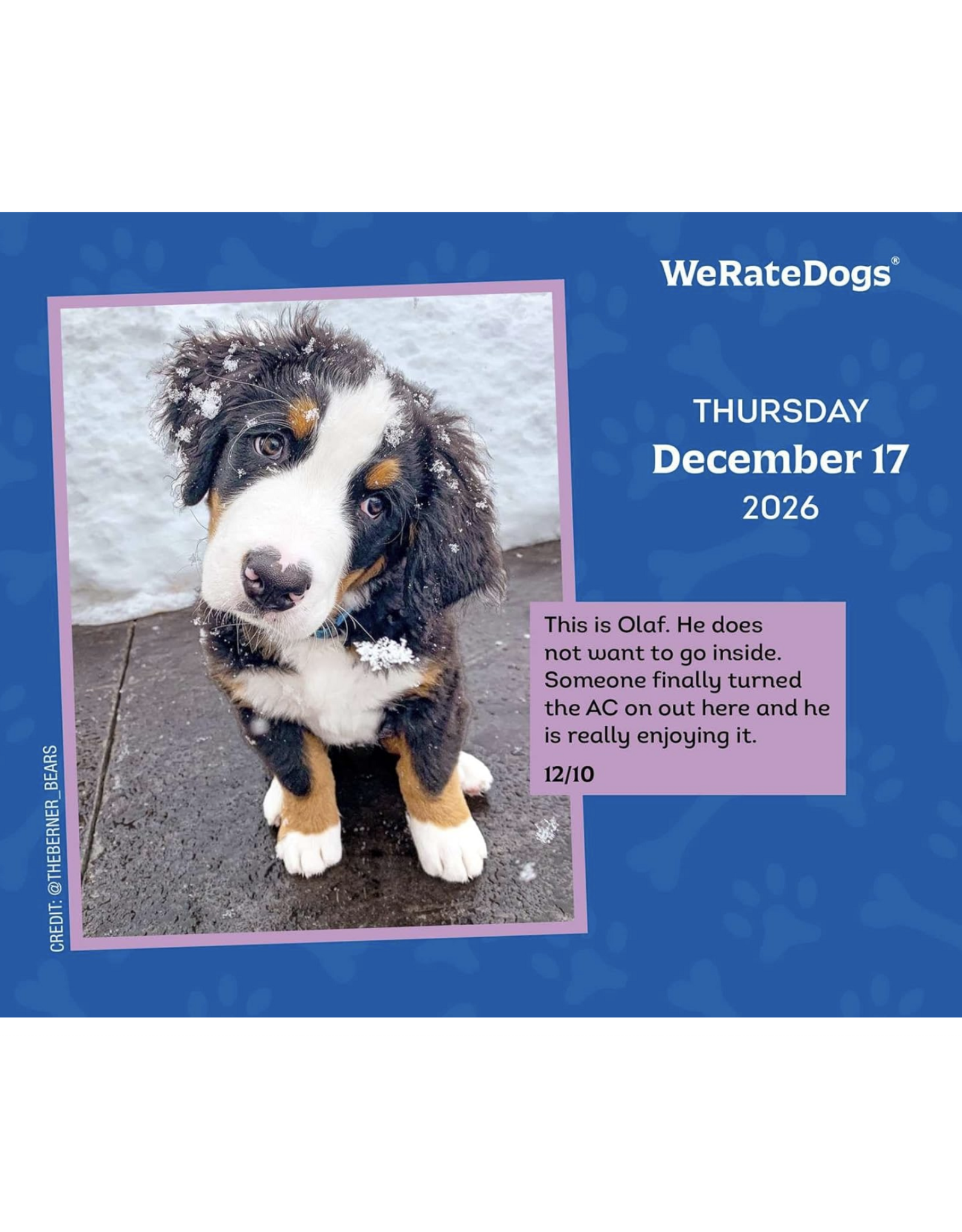 We Rate Dogs Day-To-Day Calendar 2026