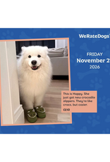 We Rate Dogs Day-To-Day Calendar 2026