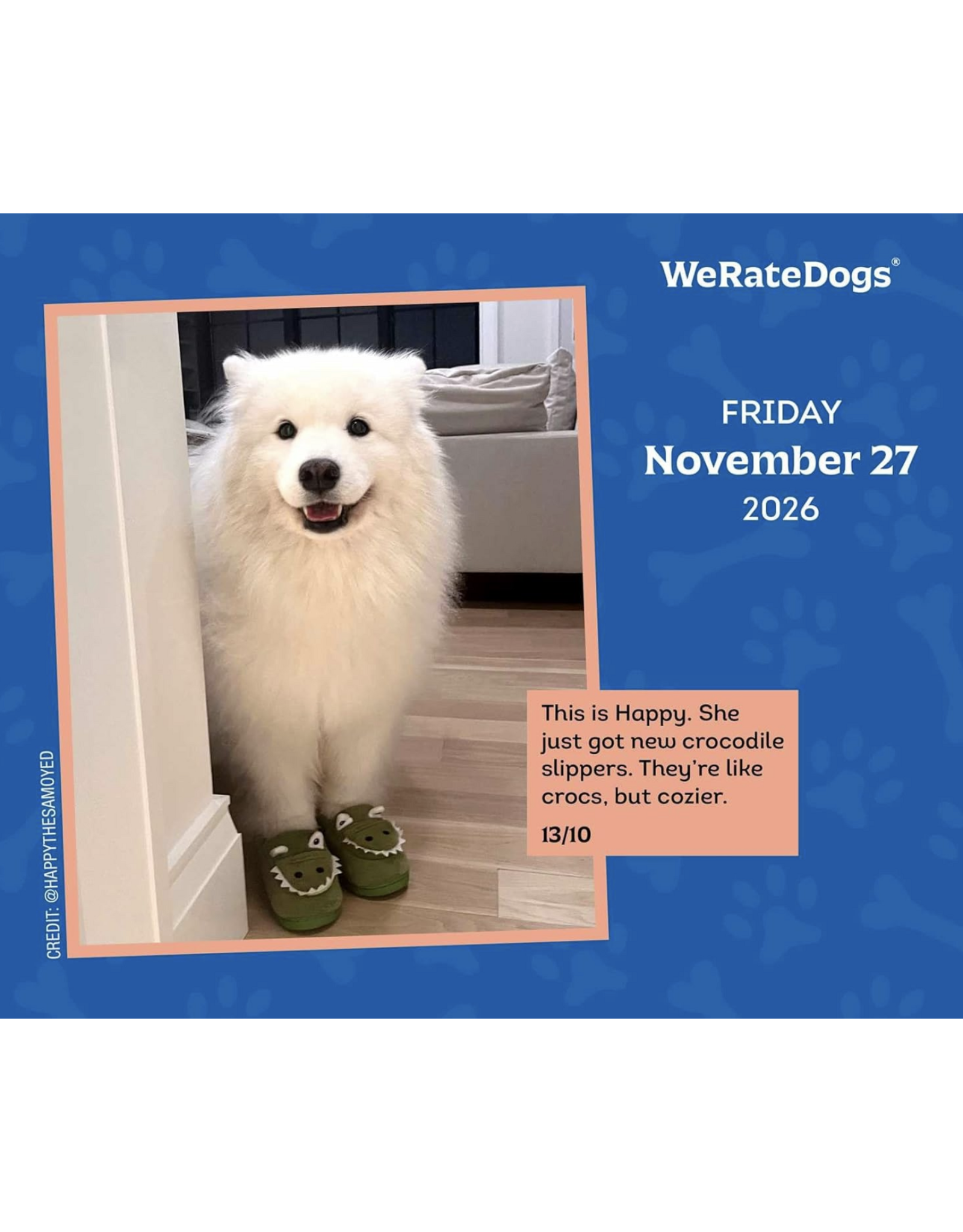 We Rate Dogs Day-To-Day Calendar 2026