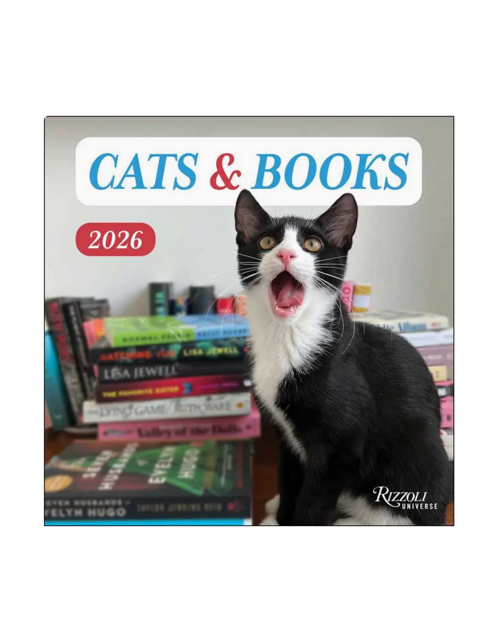 Cats & Books Wall Calendar 2026