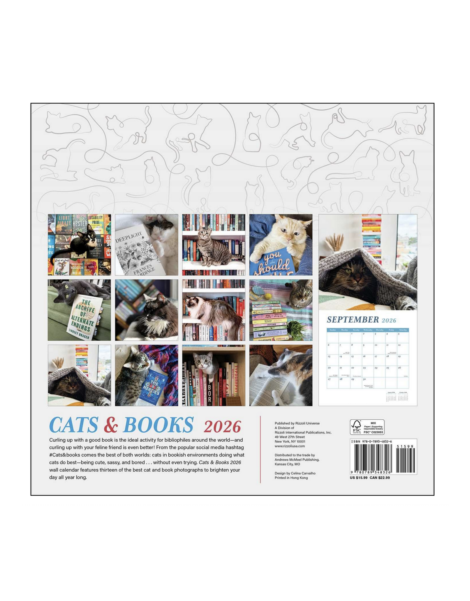 Cats & Books Wall Calendar 2026