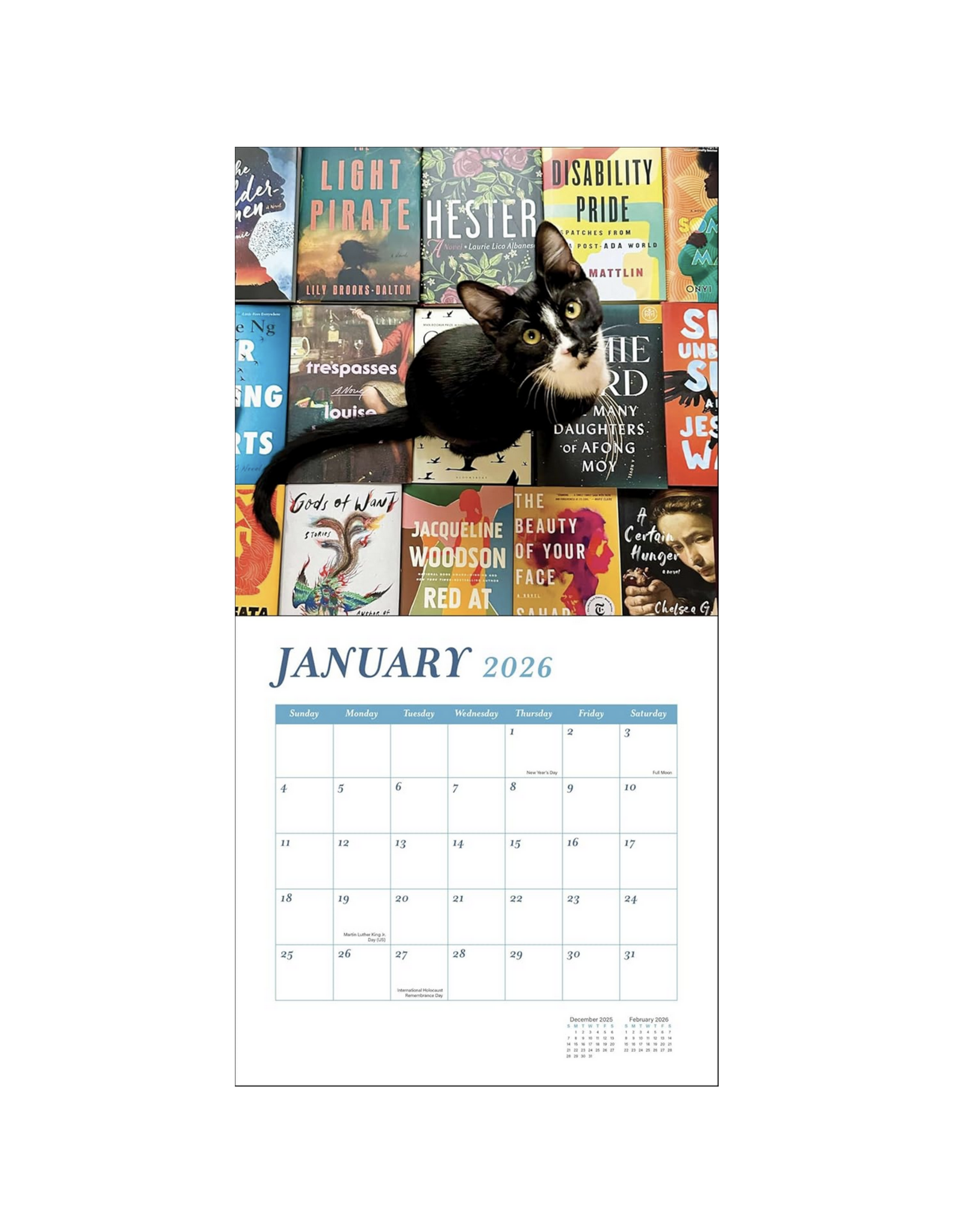 Cats & Books Wall Calendar 2026