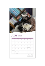 Cats & Books Wall Calendar 2026