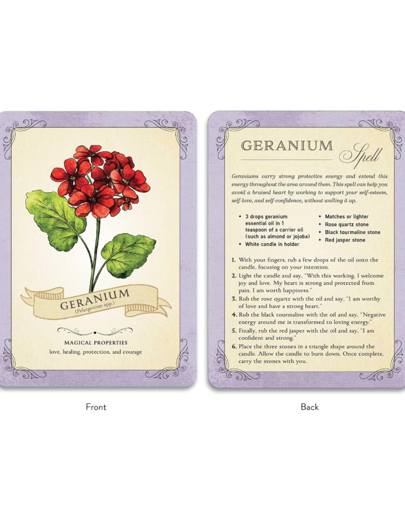 The Green Witch's Deck of Magical Herbalism