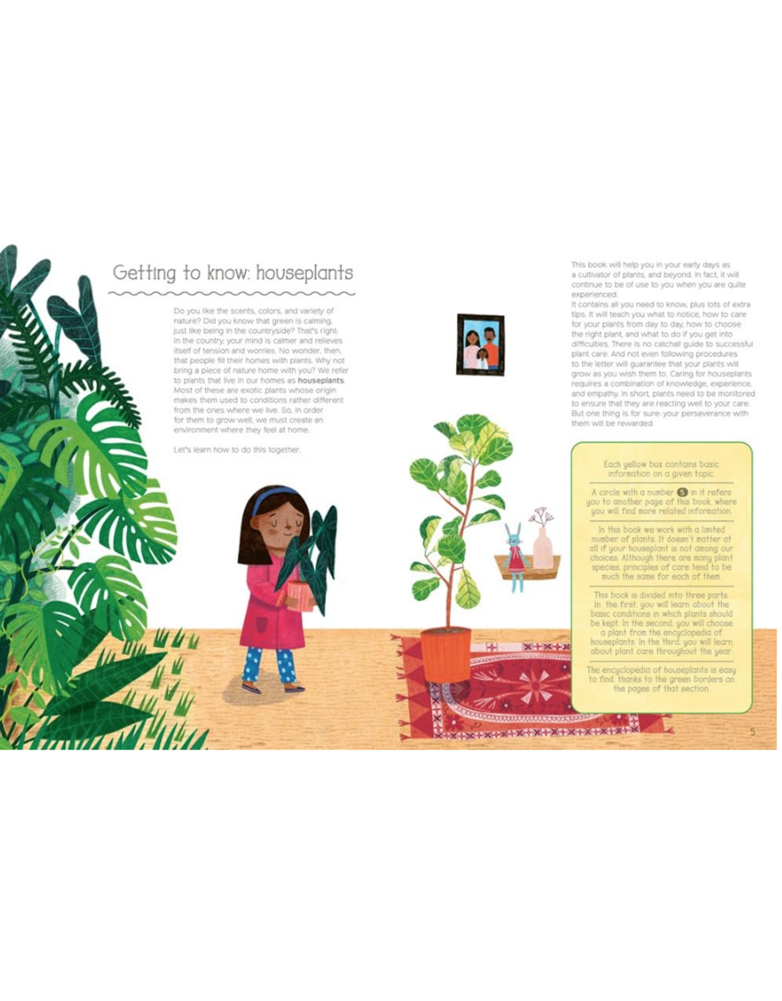 Albatros Media How Not to Kill Your Plant