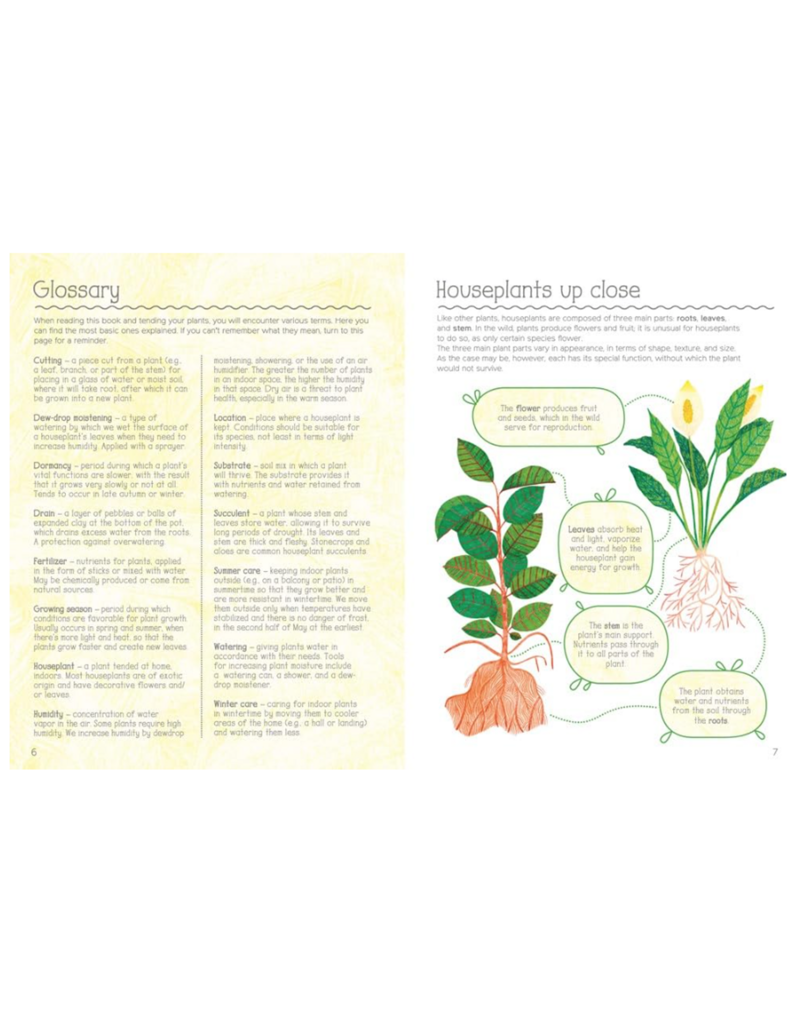 Albatros Media How Not to Kill Your Plant