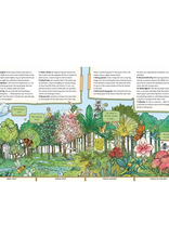 Albatros Media The Secret Life of the Forest