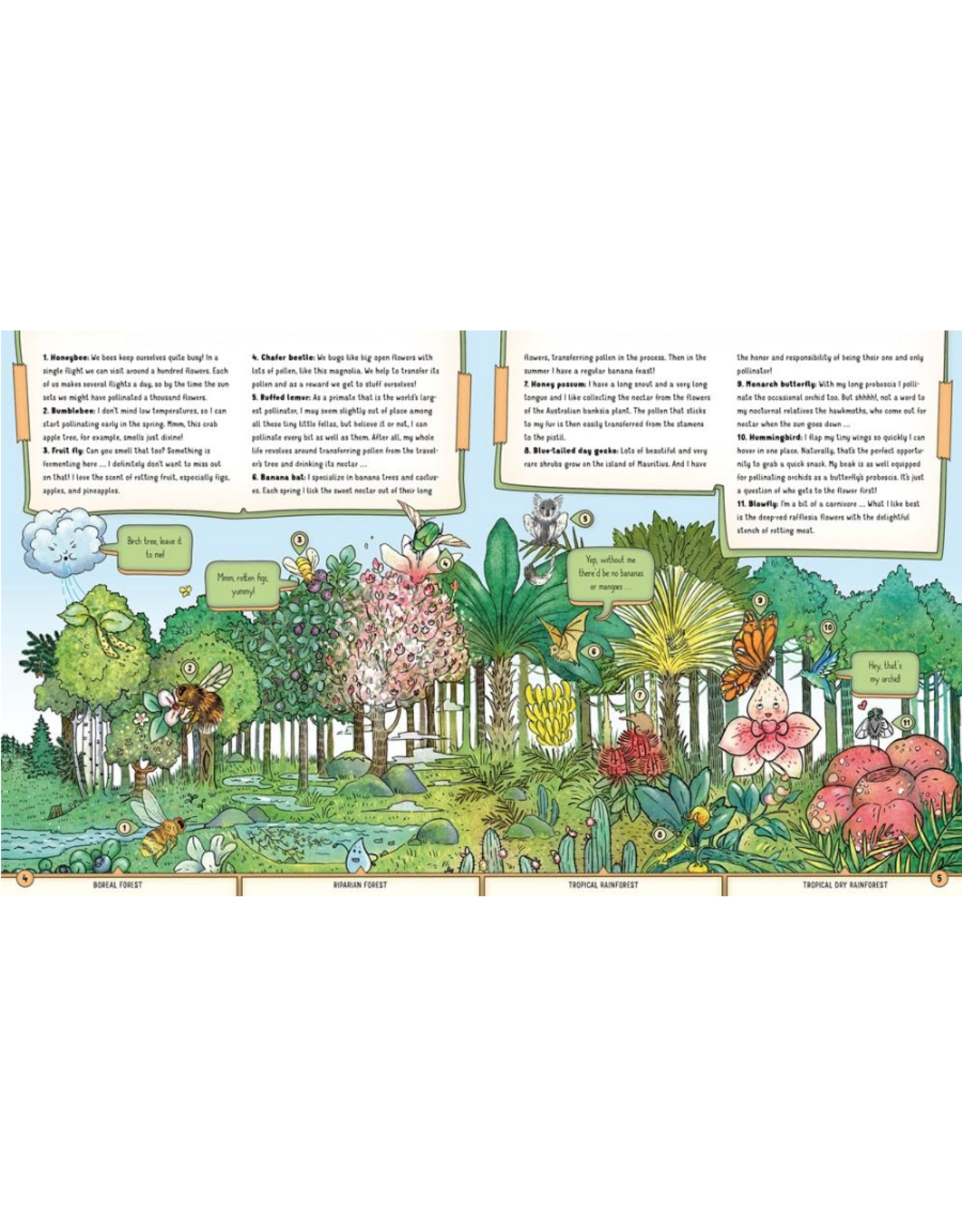 Albatros Media The Secret Life of the Forest