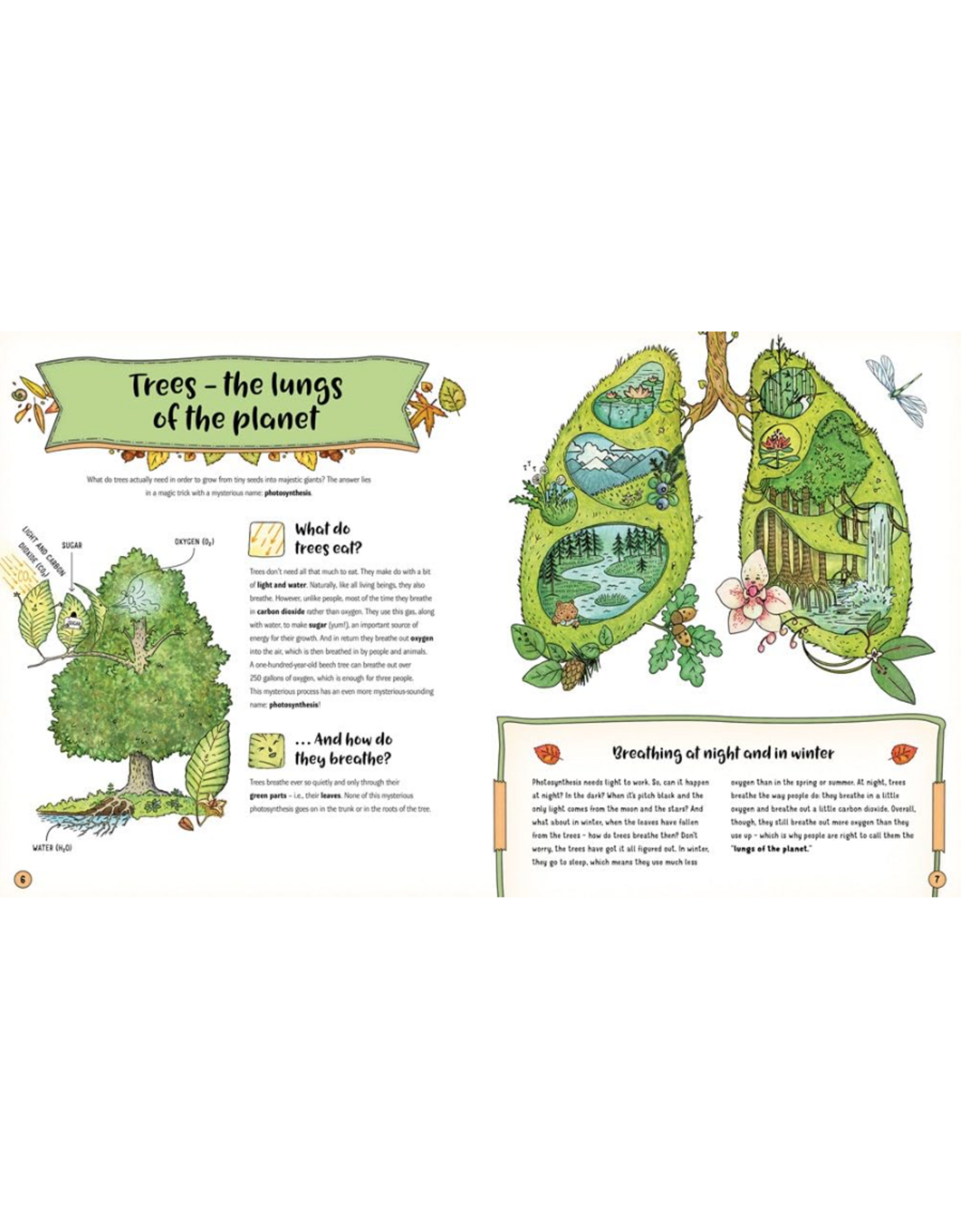 The Secret Life of the Forest