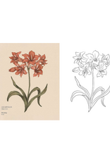 The Floriography Coloring Book