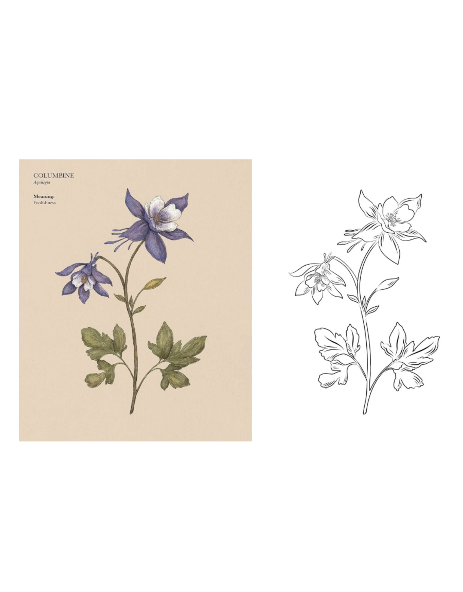 The Floriography Coloring Book