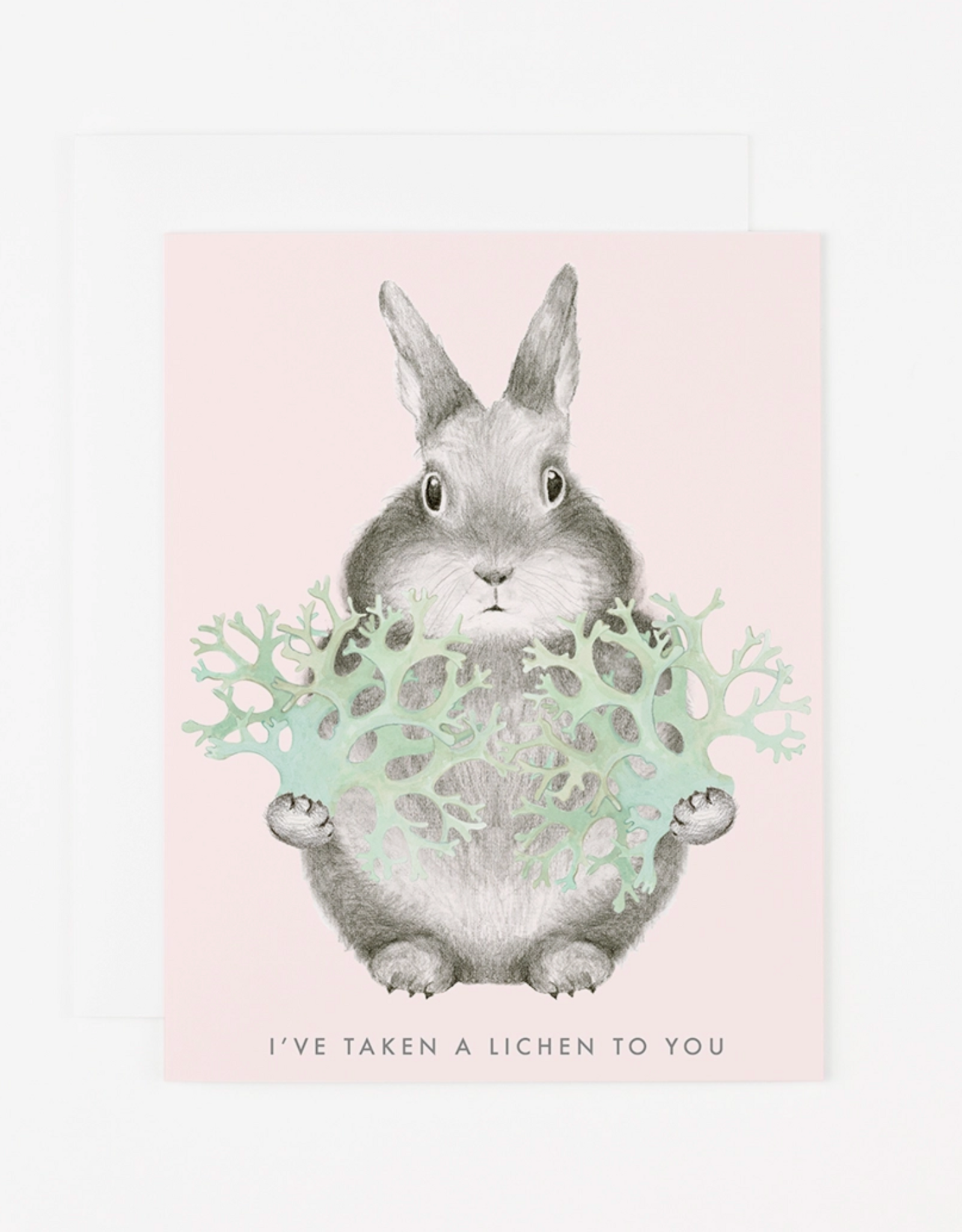 I've Taken a Lichen to You Bunny Greeting Card