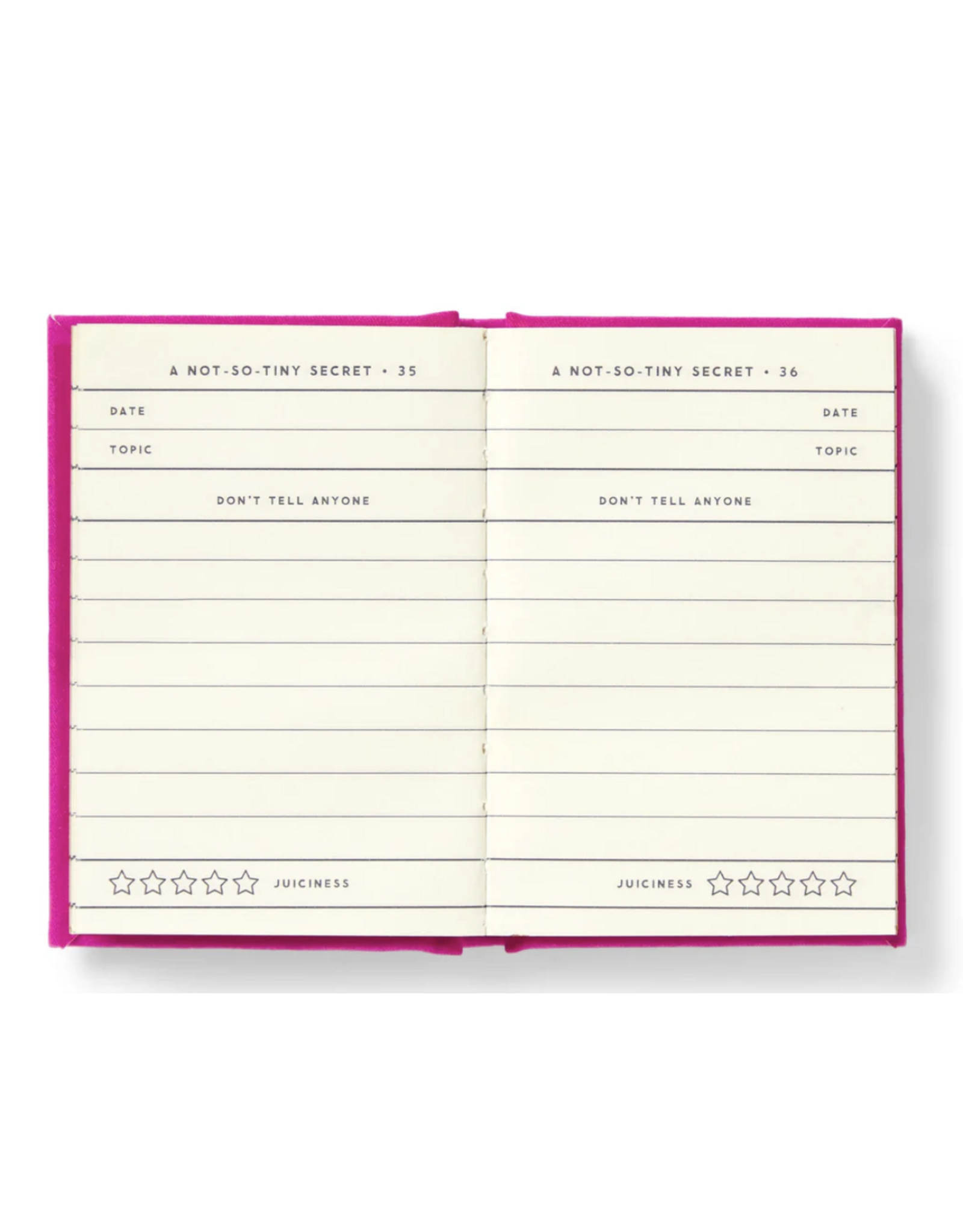 A Tiny Diary for Not So Tiny Secrets