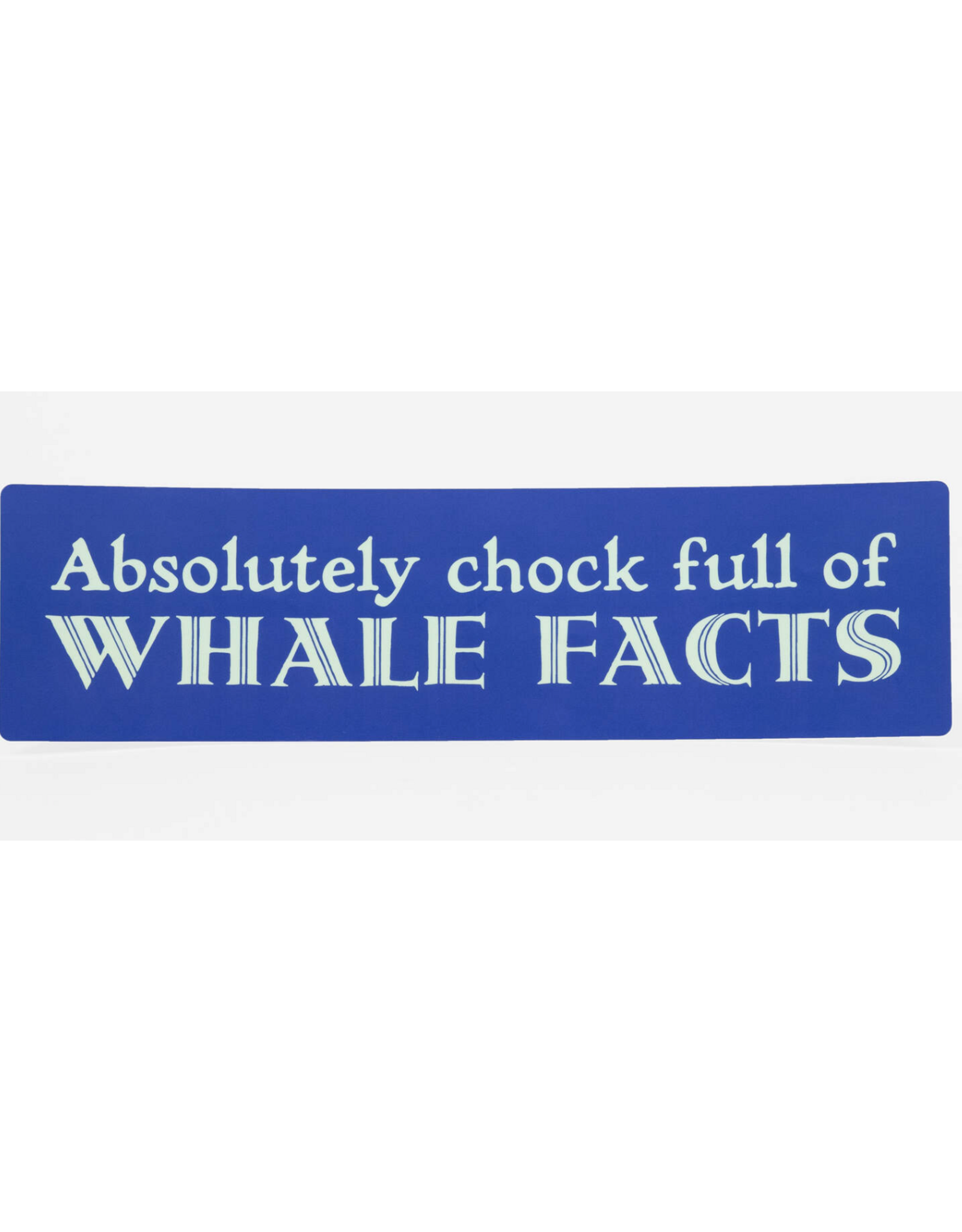 Whale Facts Bumper Sticker