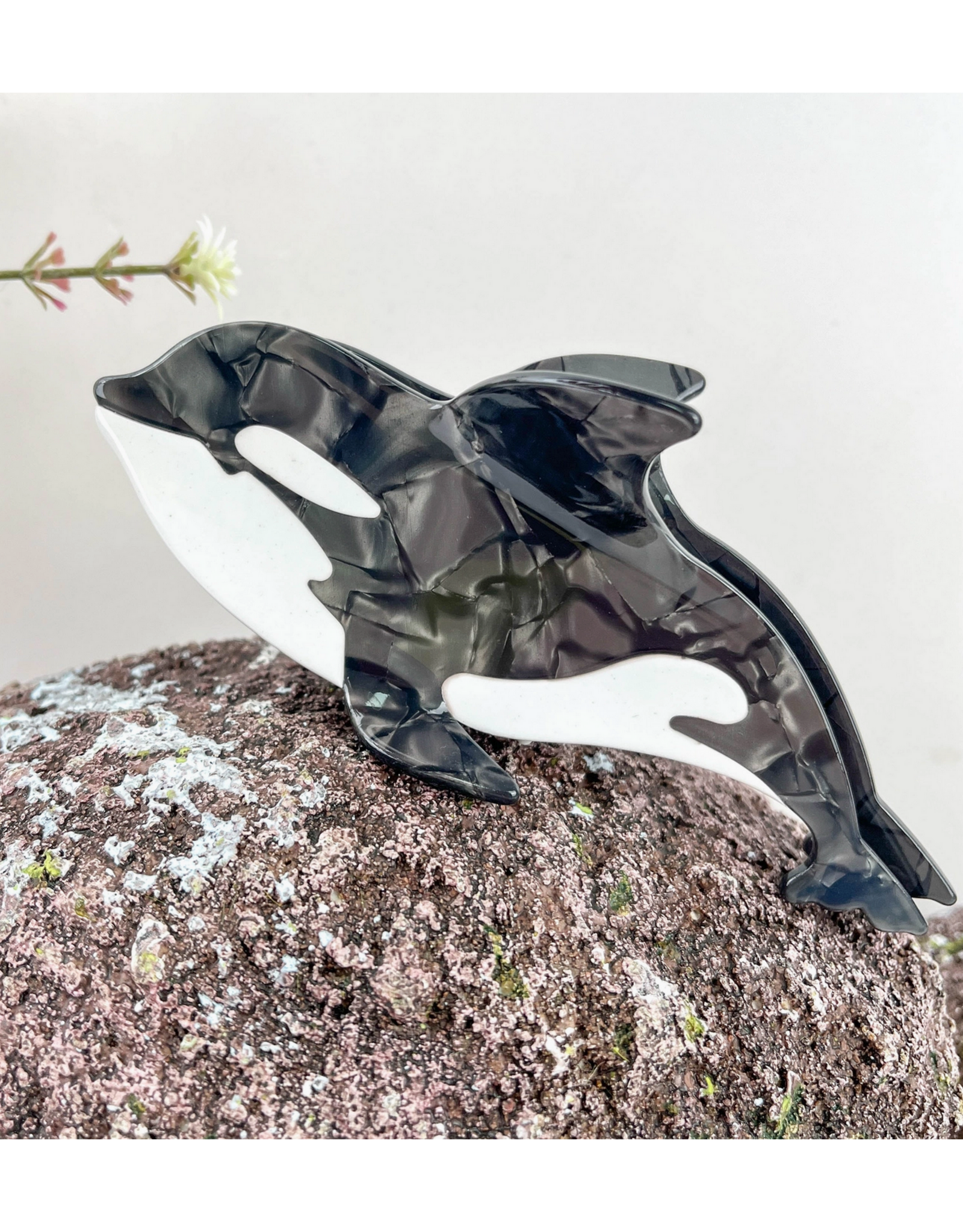 Black Killer Whale Claw Clip