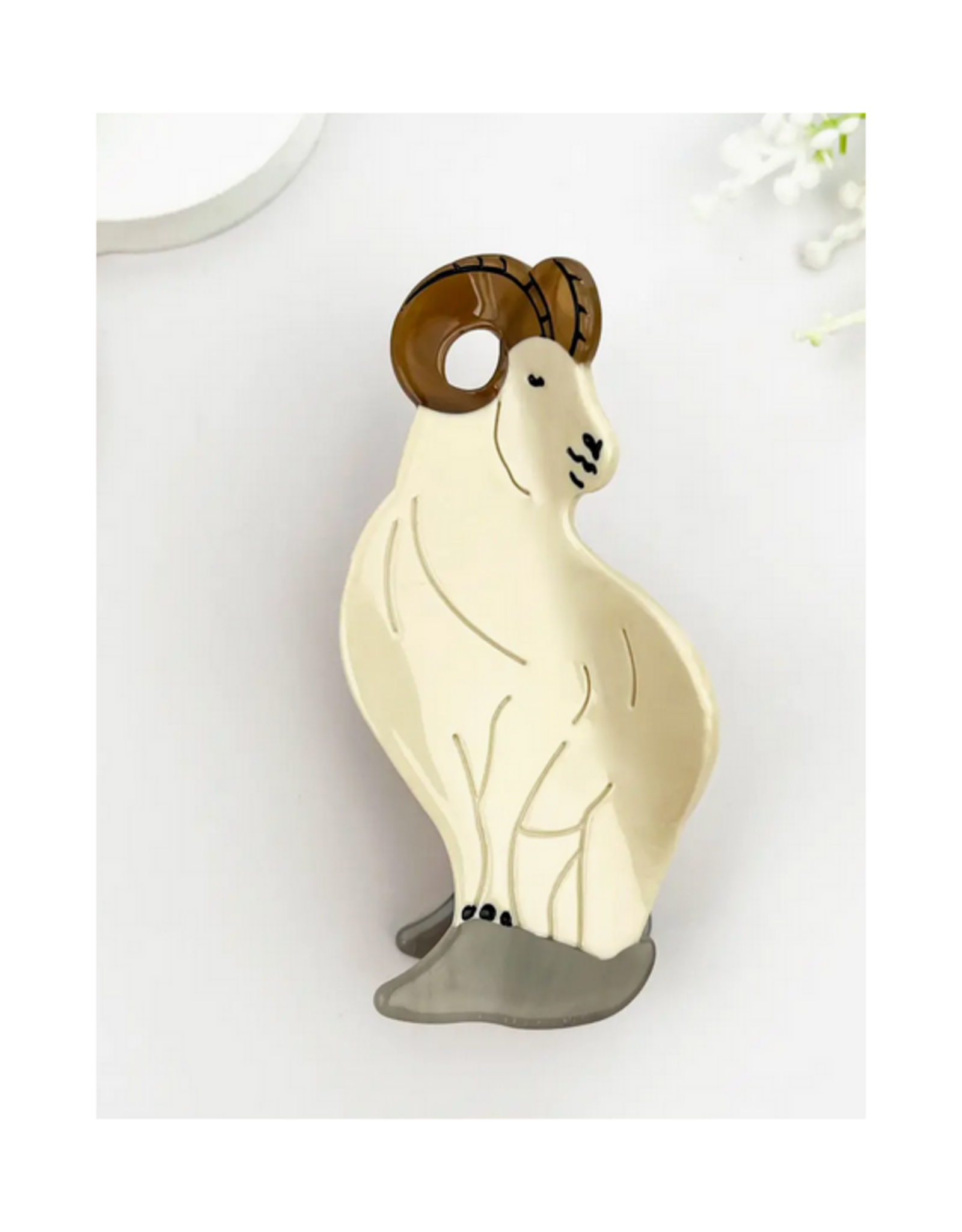 Argali - Mountain Sheep Claw Clip