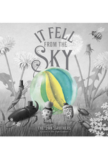 It Fell From the Sky