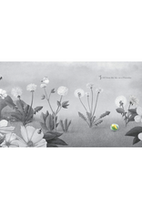 It Fell From the Sky