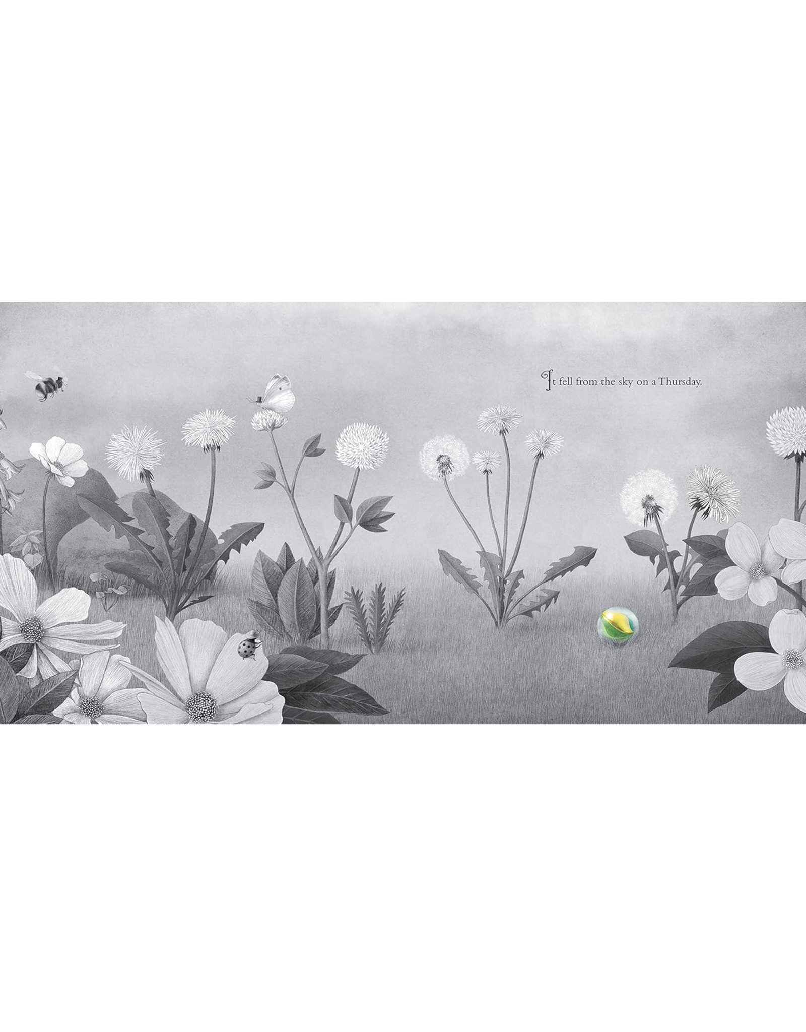 It Fell From the Sky