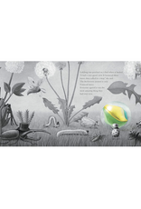 It Fell From the Sky