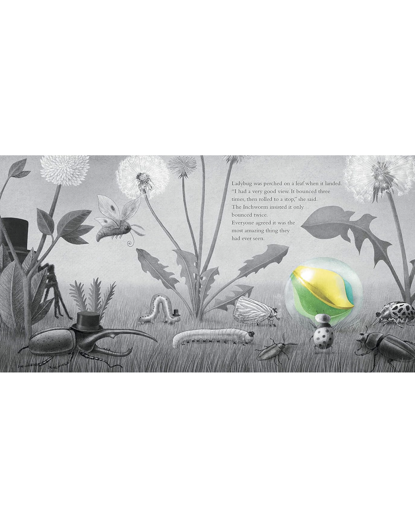 It Fell From the Sky