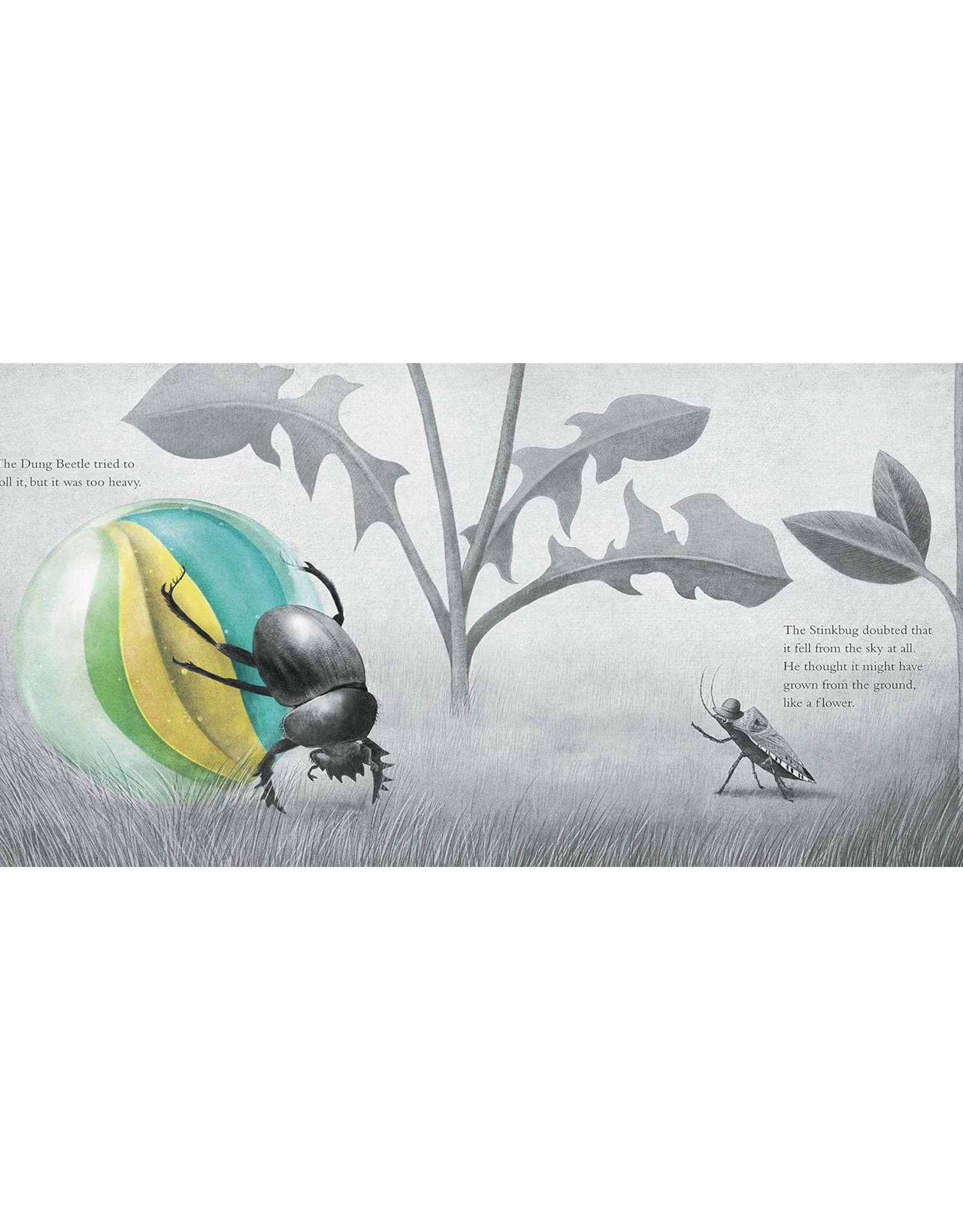 It Fell From the Sky