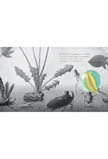 It Fell From the Sky