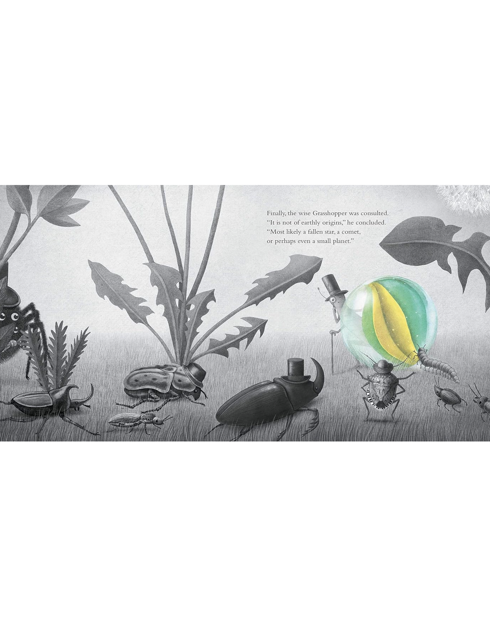 It Fell From the Sky