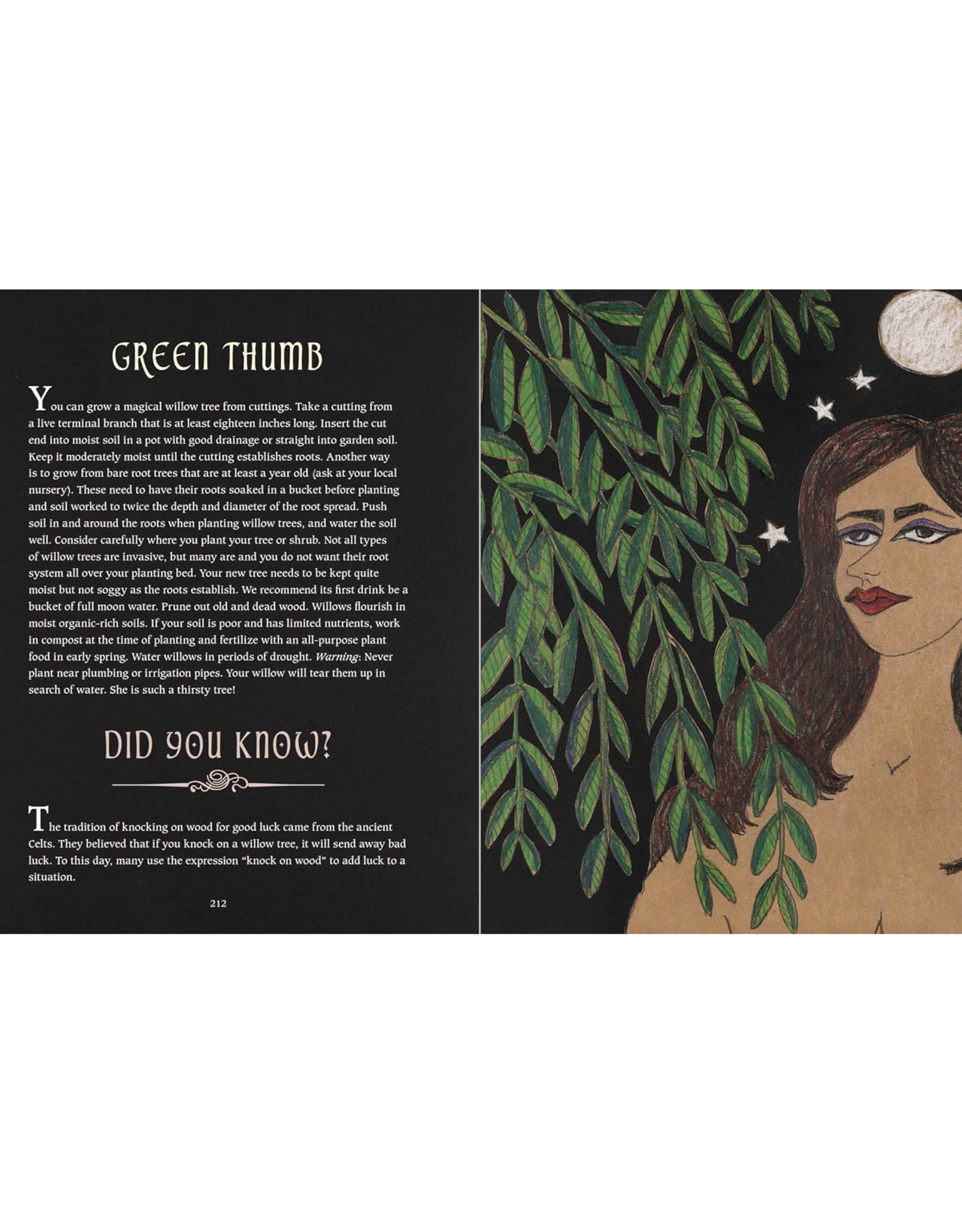 Green Witch's Guide to Magical Plants & Flowers