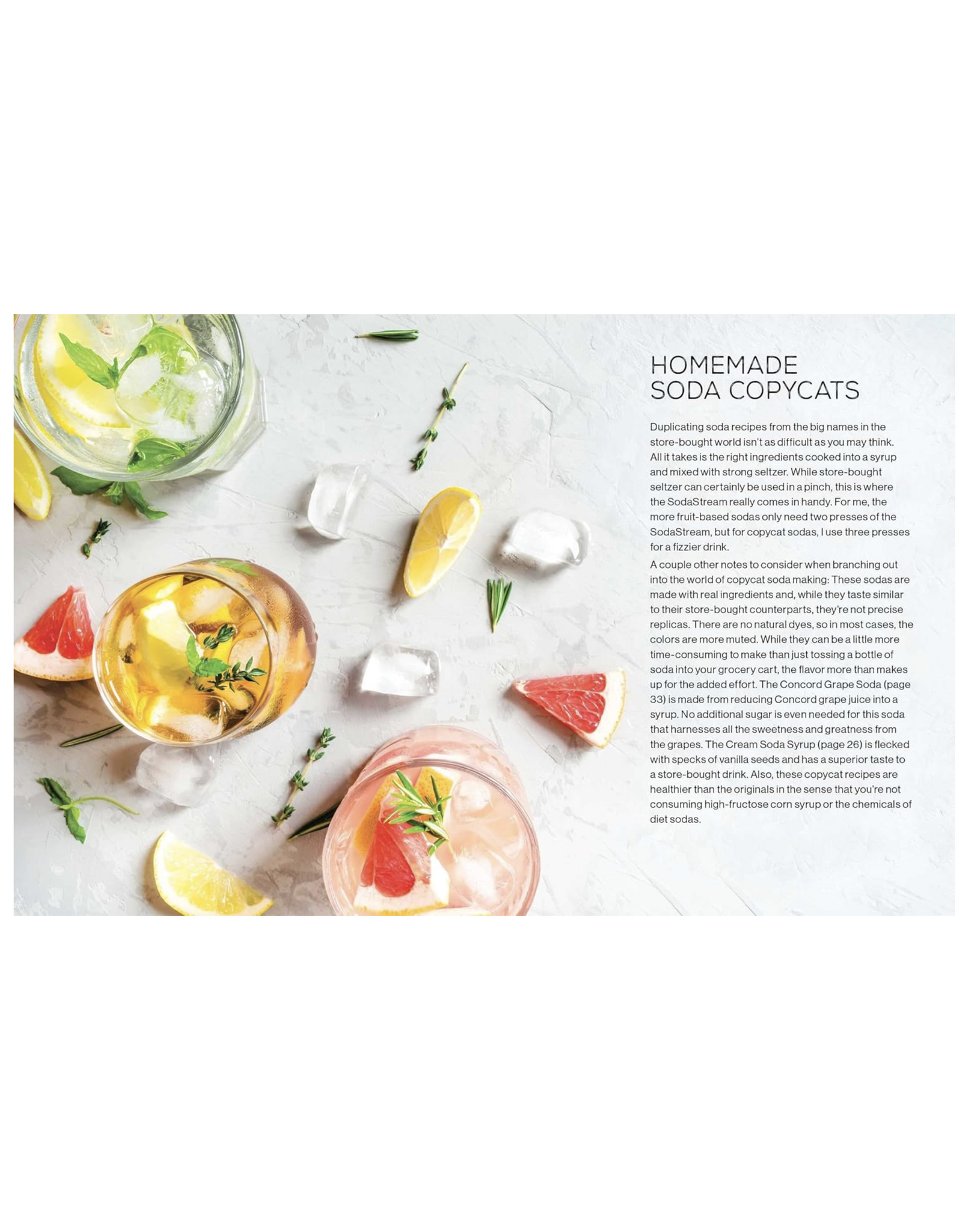 Fizz: 70+ Homemade Artisan Sodas