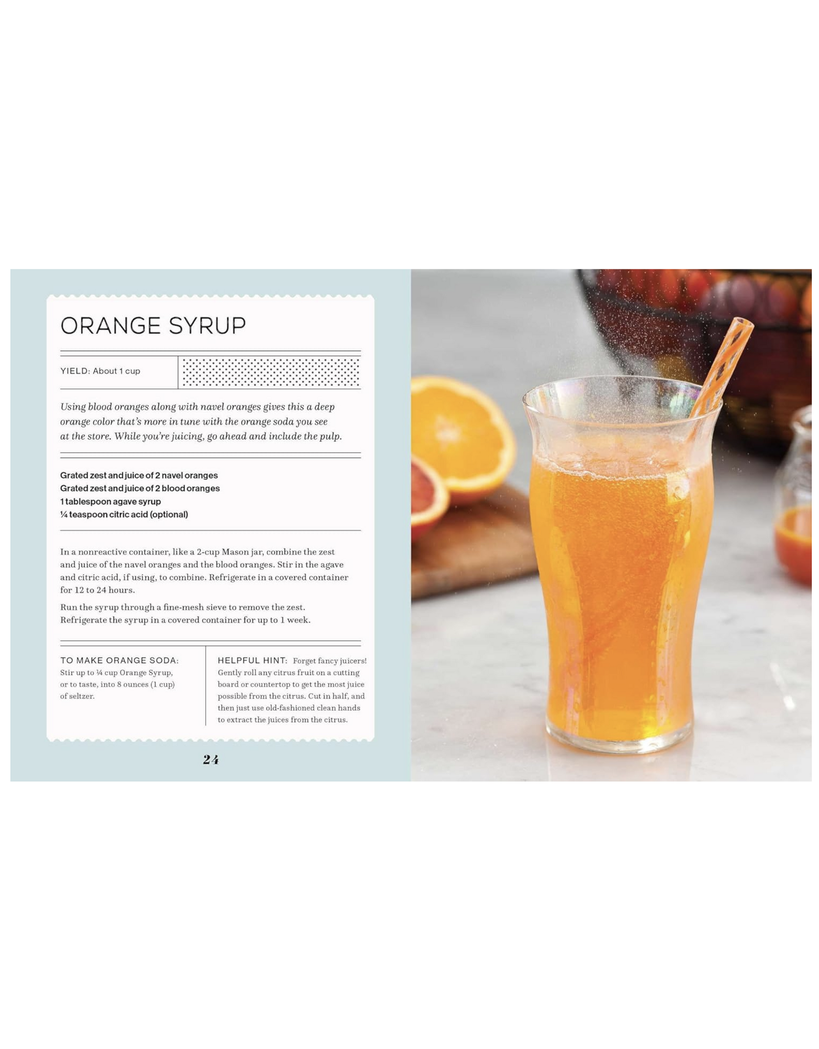 Fizz: 70+ Homemade Artisan Sodas