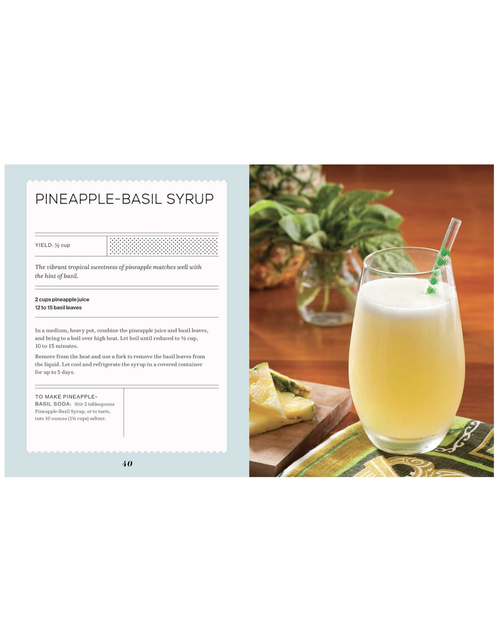 Fizz: 70+ Homemade Artisan Sodas