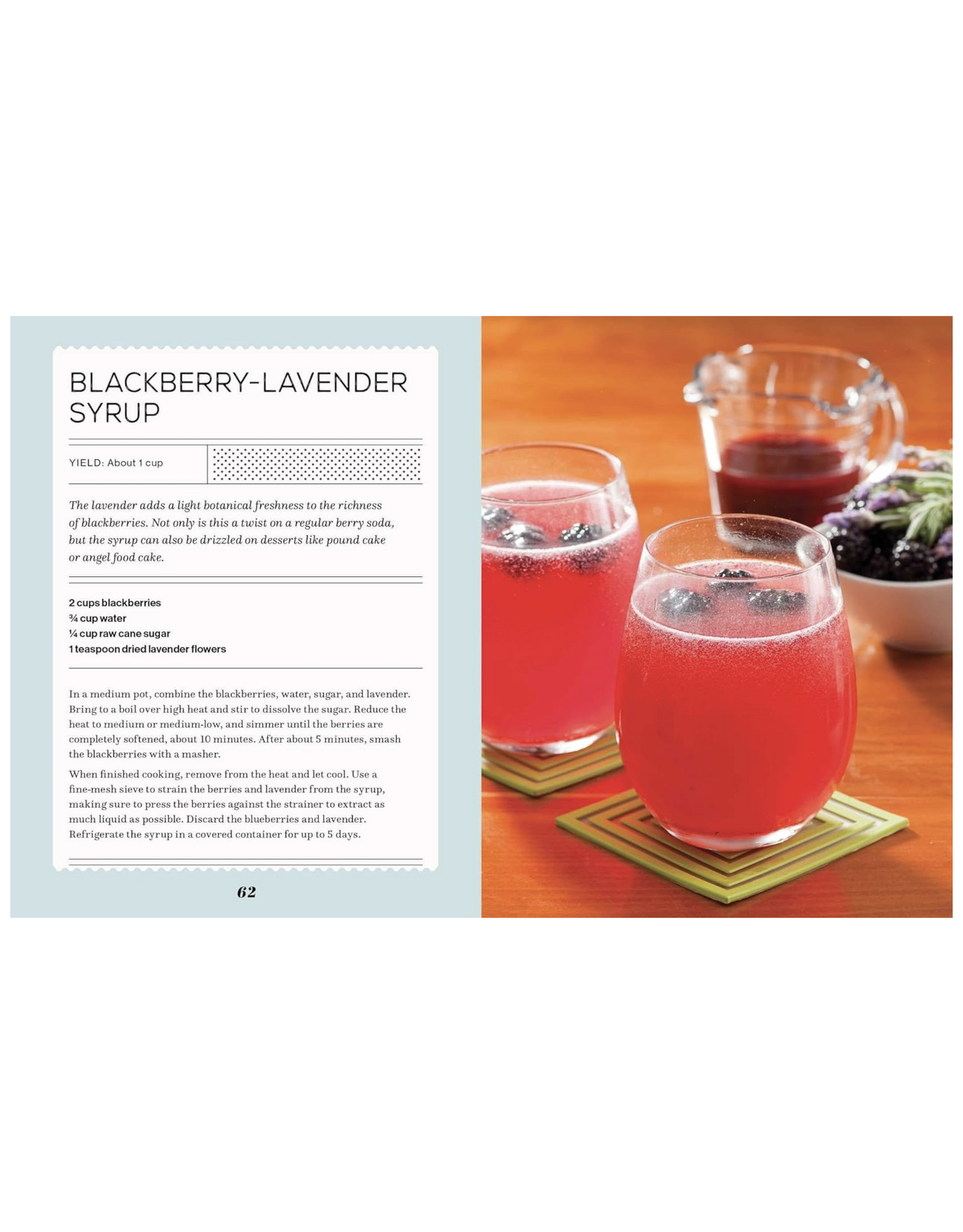 Fizz: 70+ Homemade Artisan Sodas