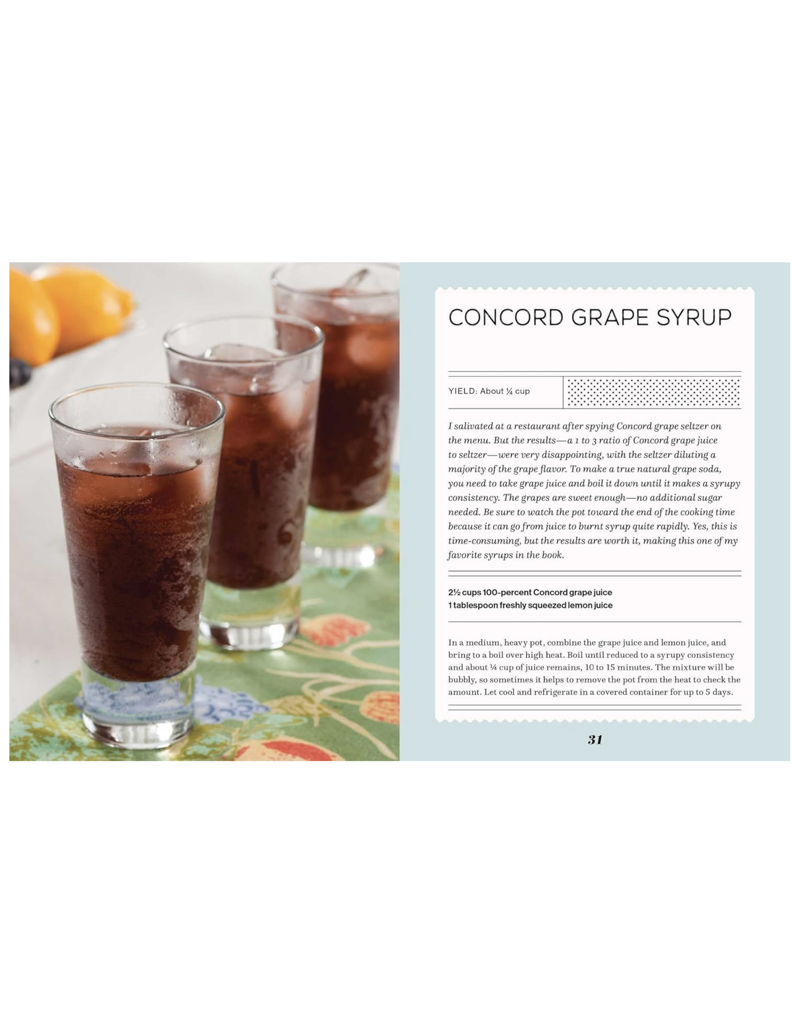 Fizz: 70+ Homemade Artisan Sodas