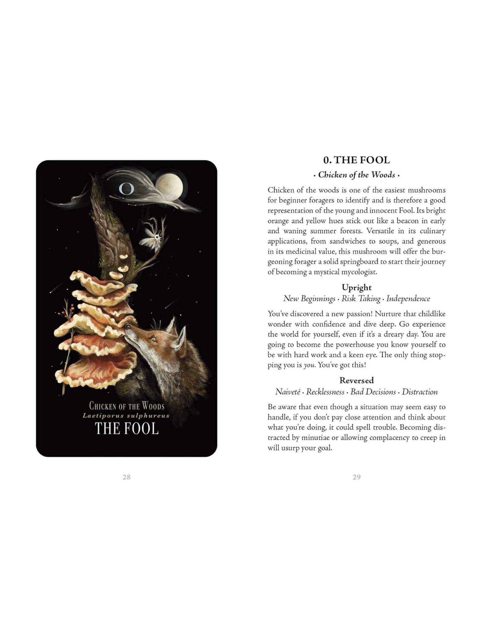 Midnight Magic: A Tarot Deck of Mushrooms